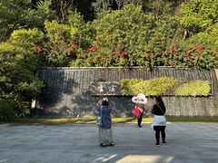 -云溪植物园