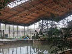 -汤泊温泉度假村