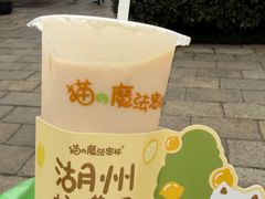 -猫的魔法密林(衣裳街店)