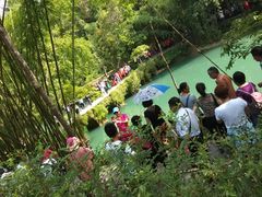 -小七孔景区东门售票处