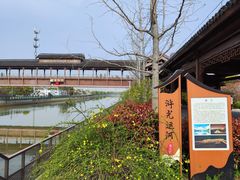 -树山生态村