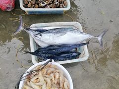-黄沙水产交易市场