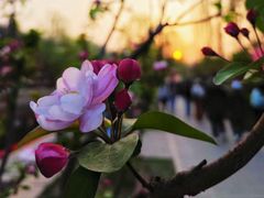 -元大都城垣遗址公园