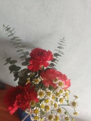 -莲芯花月子会所