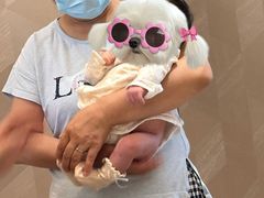 -葱妈母婴医护月嫂中心(浦东店)