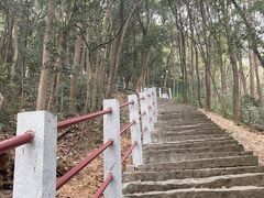 -灵顺寺