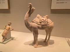 -深圳博物馆(古代艺术馆)