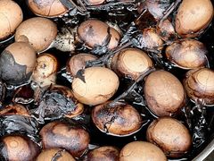 -东天目山风景区