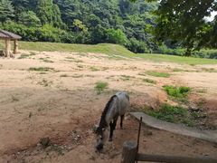 -杭州野生动物世界