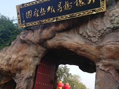 -大槐树寻根祭祖园