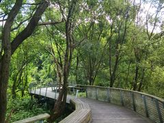 -西湖风景区-江洋畈生态公园