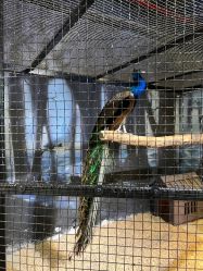 -酷嗒动物文化乐园(cutezoo西溪乐天城店)