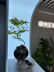 -章光101防脱养发荟