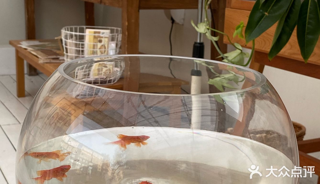 西安探店|在天台找到的宁静时刻