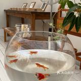 西安探店|在天台找到的宁静时刻