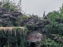 -南昌之星游乐场