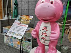 -长白山吉祥物天池水怪专卖