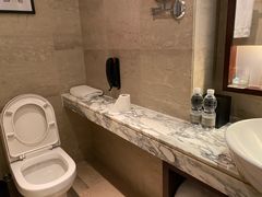 -上海龙之梦万丽酒店