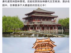 -大唐不夜城