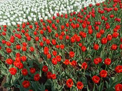 -长春公园(普阳街道)