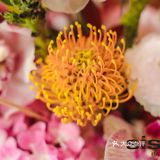 王府井里的花艺沙龙，开启清爽夏日出清模式！