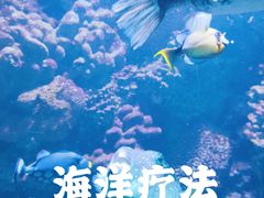 -海合安青岛极地海洋公园