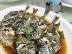 -台山美食一绝阿四台山黄鳝饭(阿四创作店)