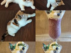 -猫岛主趣味餐厅(鼓浪屿店)