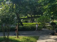 -广州雕塑公园