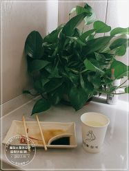 -魔型社
