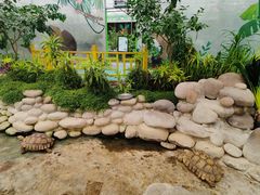 -南宫五洲植物乐园