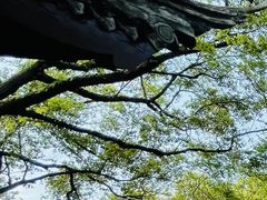-上海醉白池公园