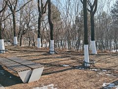 -长春世界雕塑园冰雪艺术天地