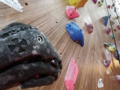 -魔岩攀登(南京东路店)