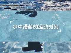 -奥龙堡游泳馆(广纸店)