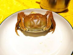 清蒸大闸蟹-鹿港小镇经典老上海菜(长乐路店)