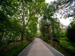 -迎泽公园