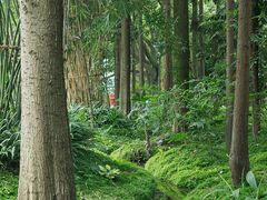 -成都市活水公园