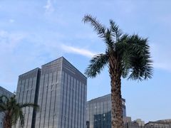 -北京云瑧金陵莲花酒店·莲·川小馆
