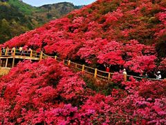 -木兰云雾山