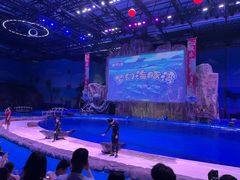 -华夏文旅海洋公园