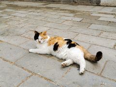 -大觉寺-停车场