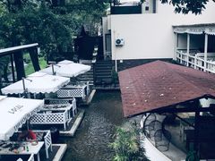 -Local泰莲庭(虹鳟鱼店)