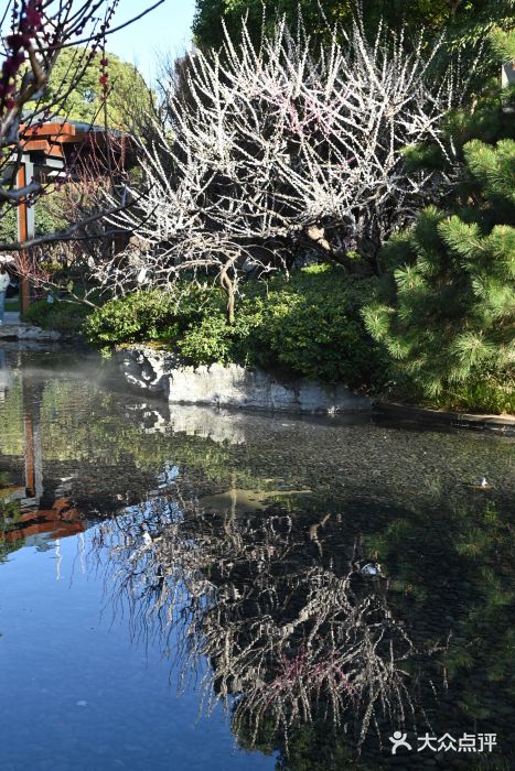 静安雕塑公园图片