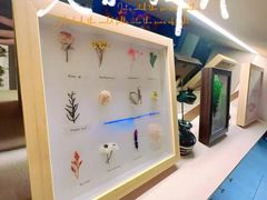 -宫七SPA·高端Massage(浦东大道店)