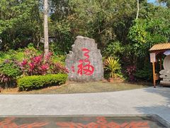 -七仙岭温泉国家森林公园