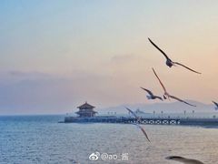 景点-栈桥景区