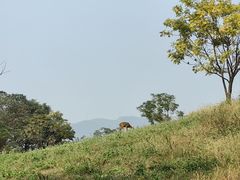 -良渚古城遗址公园