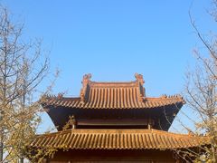 -大报恩寺遗址景区