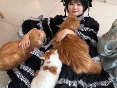 -平行世界·猫咖(首经贸店)